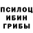 Псилоцибиновые грибы Psilocybine cubensis Juras Kovalenko