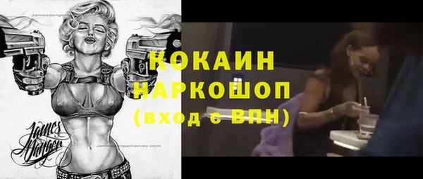 МДПВ Ельня