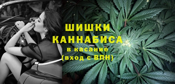МДПВ Ельня