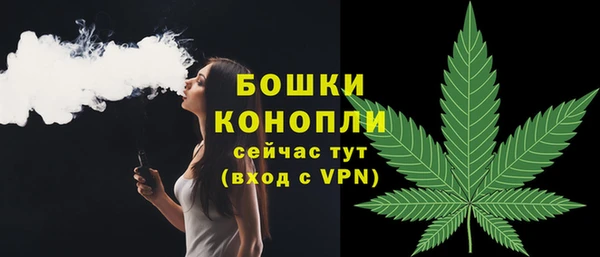 амф Елизово