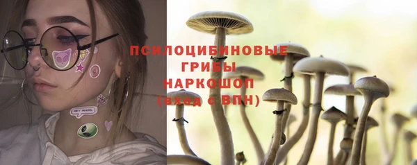 амф Елизово