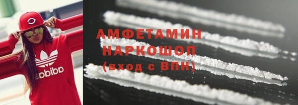 МДПВ Ельня