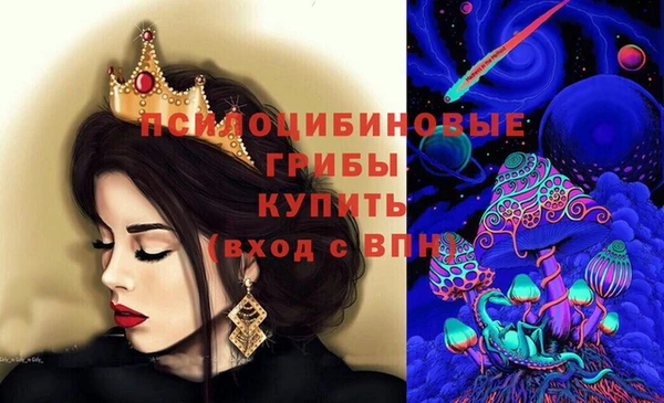 МДПВ Ельня