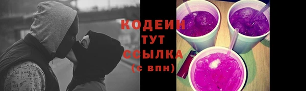 МДПВ Ельня
