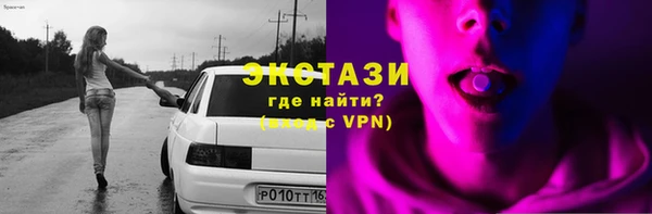 МДПВ Ельня