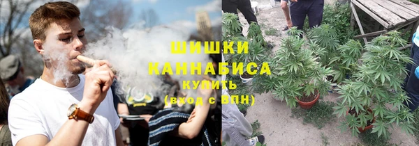 амф Елизово