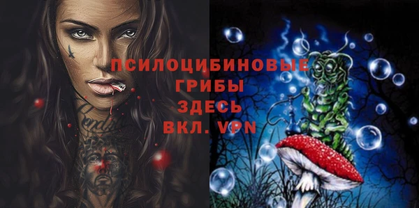 амф Елизово