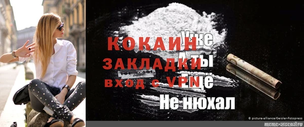 МДПВ Ельня
