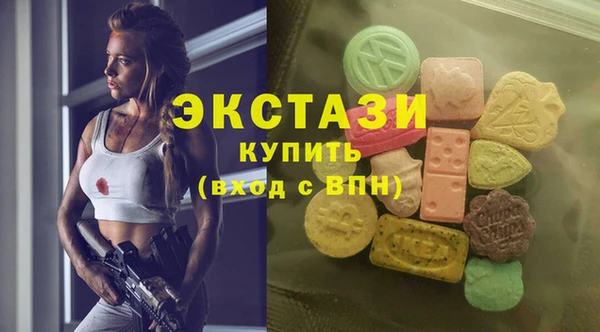 МДПВ Ельня